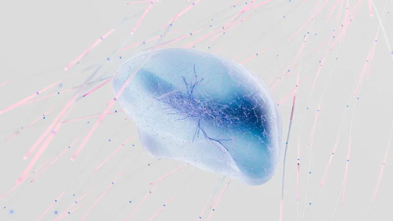 Beyond the Prescription Pad: Five Neuroscience Advances Charting a New Course for Chronic Pain